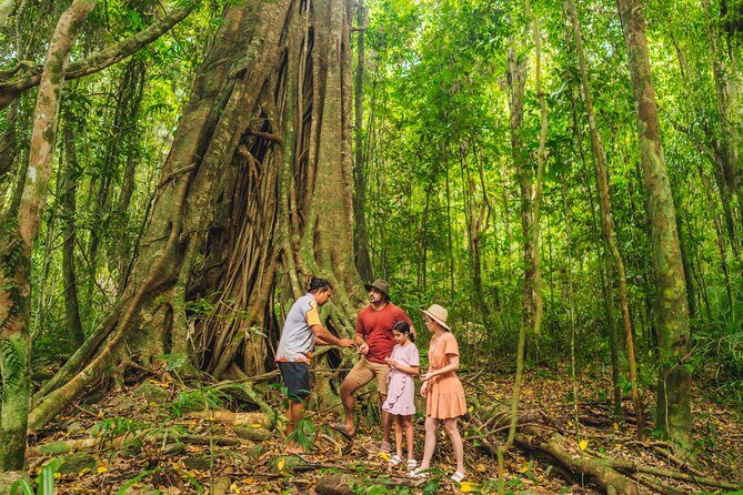 Walkabout Cultural Adventures - Ngana Julaymba Dungay Full Day - The Sum Up: Who Should Consider This Tour?