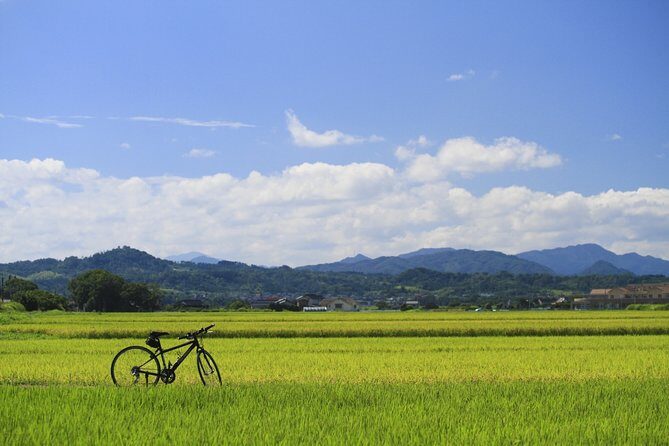 Walking & cycling - What the Tour Includes and How It Works