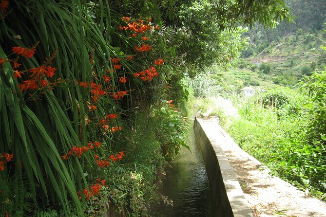 Walking Experience in the Serra D'Água Valley - Why This Tour Offers Good Value