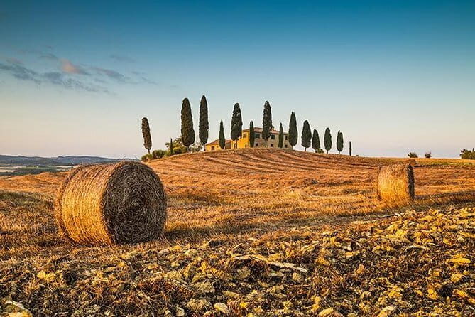 Walking Food Tour of Florence with Tastings - Stop 3: Wine Tastings
