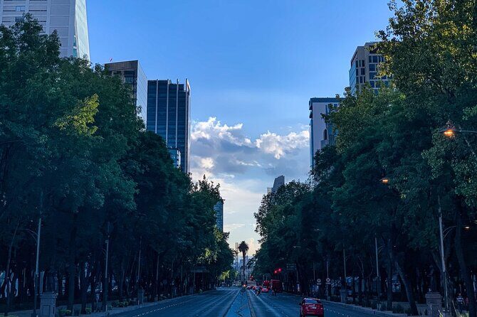 Walking Mexico City Tour with Anthropology Museum - Who Should Book This Tour?