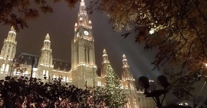 Walking on the historical trail of Viennese Christmas Trees - Who Will Love This Tour?