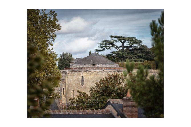 Walking Photography Tour of Amboise conducted in English - Price and Value: Is It Worth It?