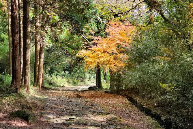 Walking through the Aso Caldera, Historical Walk along the "Bungo Kaido" - What Past Travelers Say