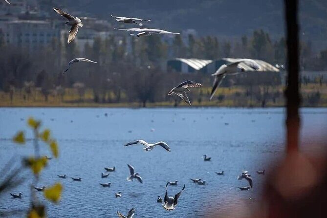 Walking Tour Historic Jewels in Tirana - The Sum Up