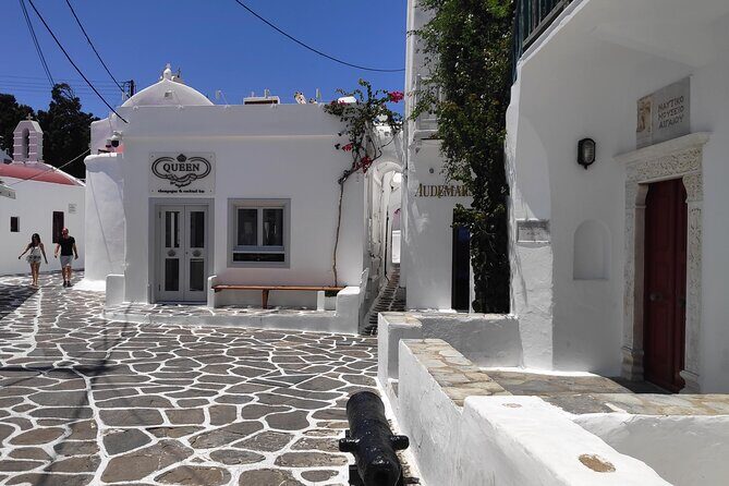 Walking Tour in Mykonos Town & Secluded Beach Picnic - Final Thoughts: Who Will Love This Tour?