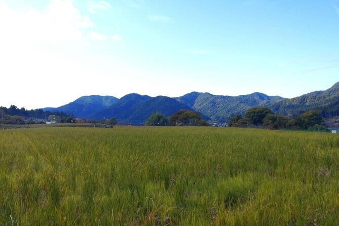 Walking Tour in Ohara Discover the Tranquil Beauty of Kyoto - FAQ