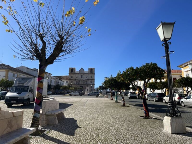 Walking Tour in Vila Viçosa - Who Will Love This Experience?