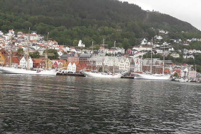 Walking tour: Medieval Spirit of Bergen + sweet Arctic gifts - A Closer Look at Bergen’s Medieval Heritage