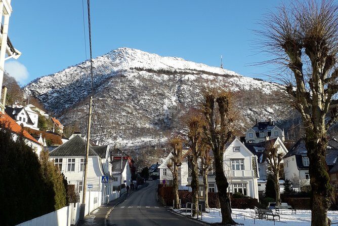 Walking tour: Medieval Spirit of Bergen + sweet Arctic gifts - The Medieval Defense and Cultural Touches