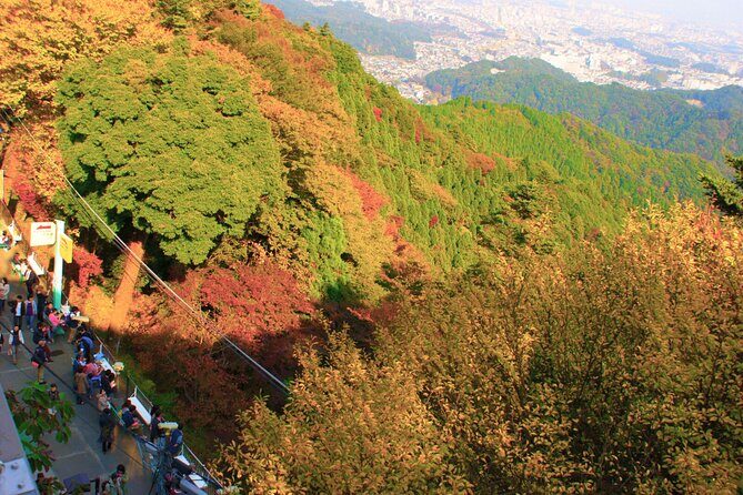 Walking Tour Mount Takao : Nature and Tradition in Tokyo - The Sum Up