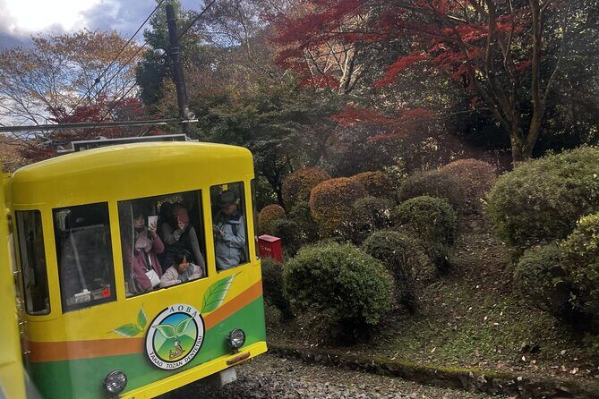 Walking Tour Mount Takao : Nature and Tradition in Tokyo - FAQs