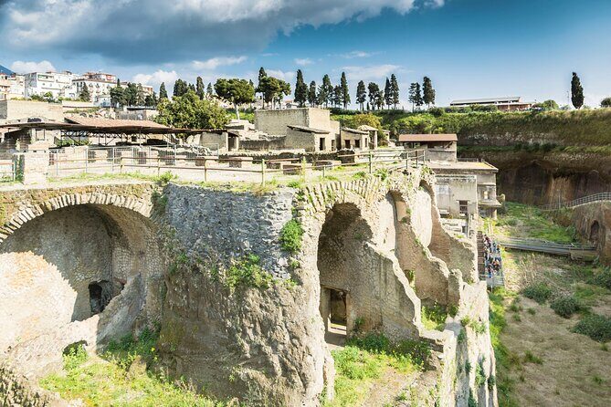 Walking Tour of Herculaneum with Local Guide - The Practicalities: Pricing, Duration, and Accessibility
