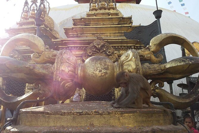 Walking tour of Kathmandu with awesome local guides - Why This Tour Works Well