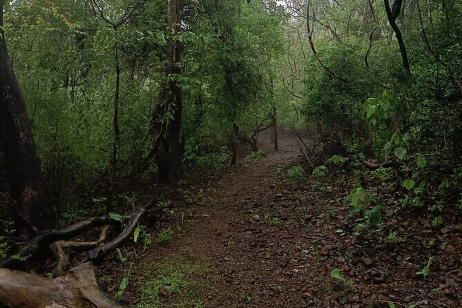 Walking Tour of Maharashatra Nature Park - Exploring Maharashtra Nature Park: What to Expect