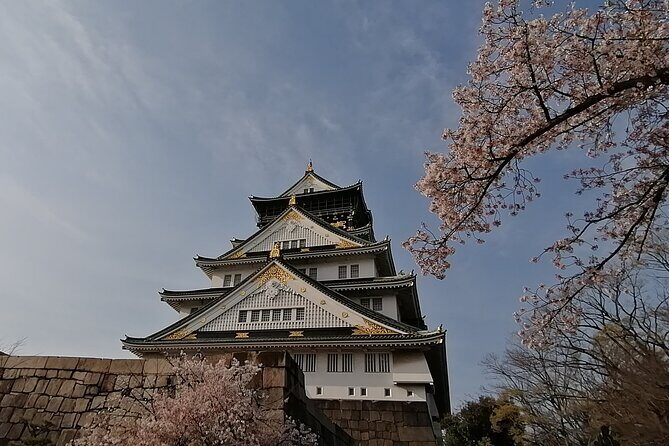 Walking Tour of Osaka's 5 Must-See Sights, with Ramen for Lunch - Group Size and Organization