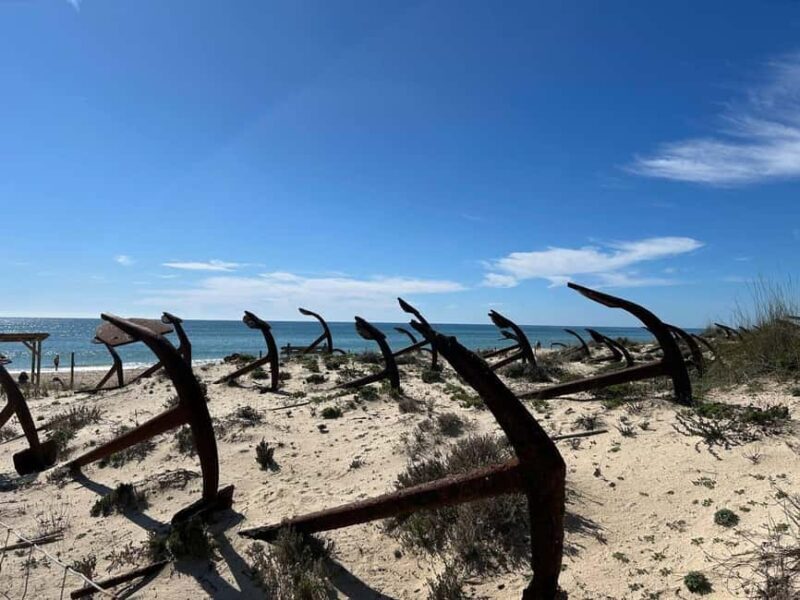 Walking tour of Tavira/Ilha de Tavira/Barril/Santa Luzia - The Full Experience: A Deep Dive into the Itinerary