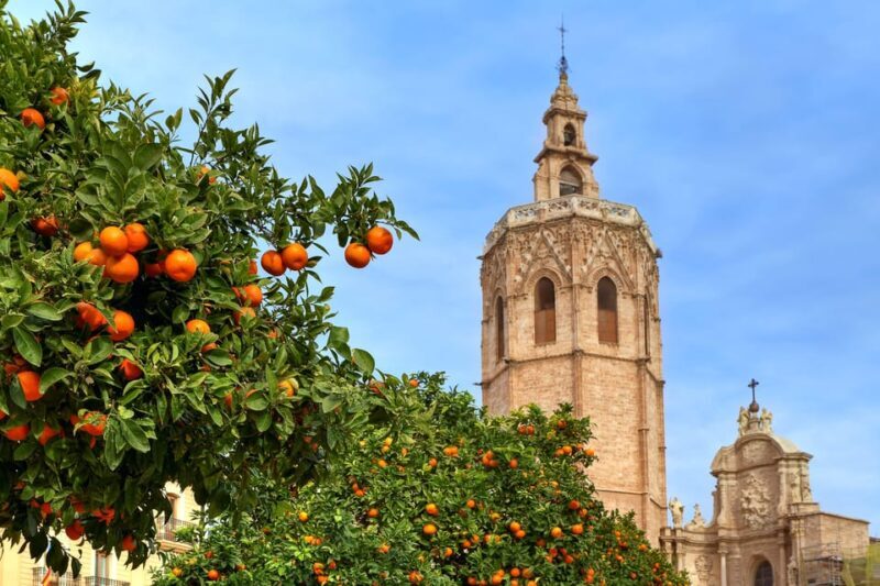 Walking Tour through Valencia's Historic Centre - Key Points