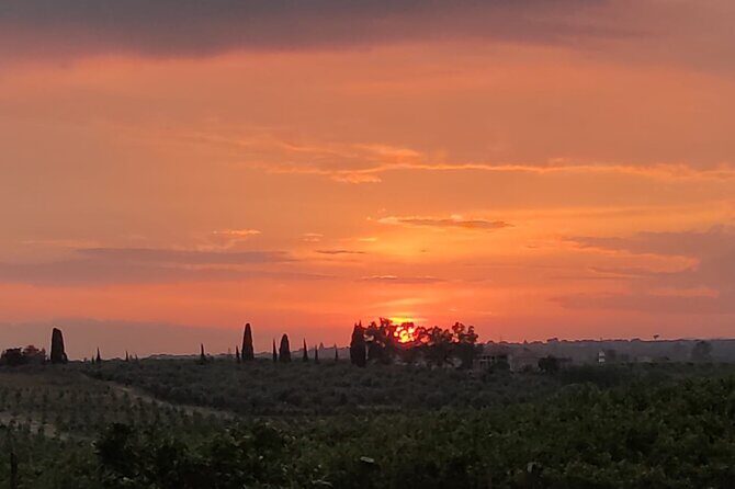 Walking tour Vendicari Nature Reserve, Tonnara and Noto Barocco - Who Will Love This Tour?
