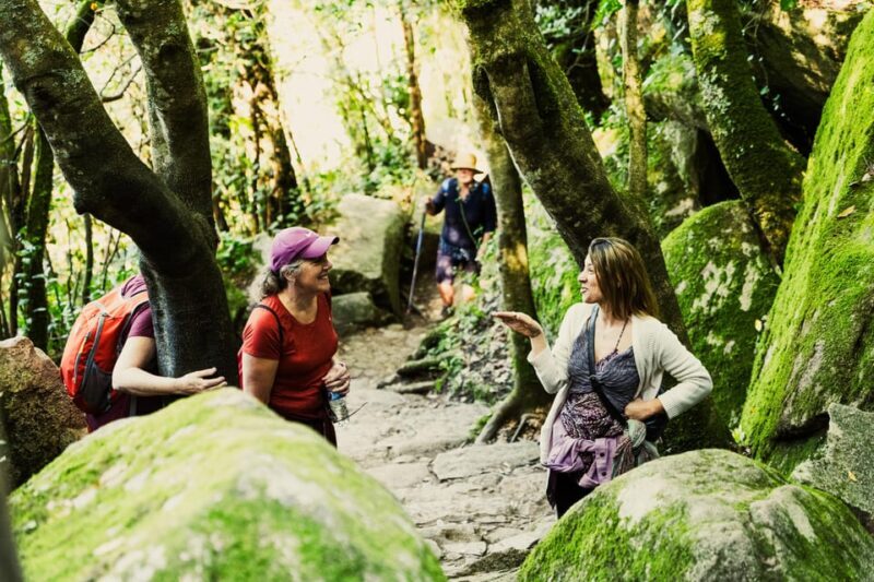 Walking tour:Pena Palace, Moorish Castle,Quinta da Regaleira - Final Thoughts