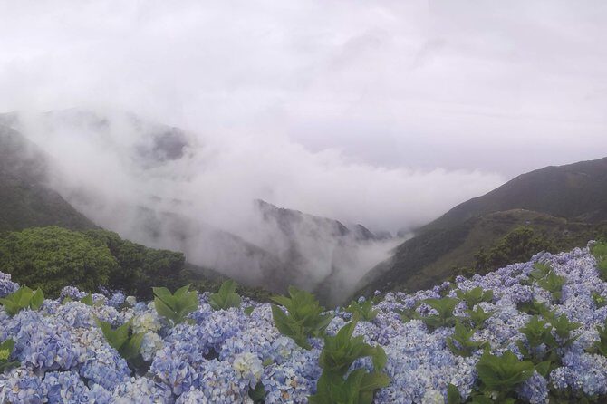 Walking Trail / Tour - Fajã Caldeira Santo Cristo - Exploring the Fajã Caldeira Santo Cristo Walking Tour: A Detailed Review