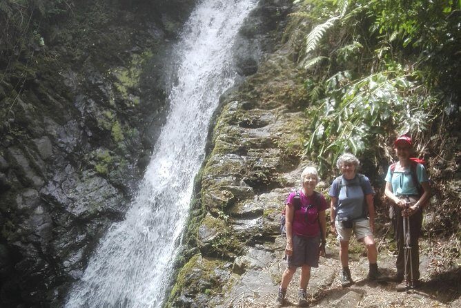 Walking Trail / Tour - Fajã Caldeira Santo Cristo - Price and Value Analysis
