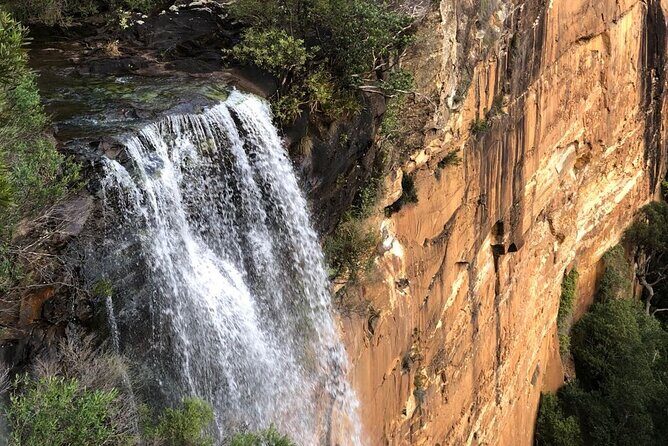 Walking with Wild Wombats Private Day Trip from Sydney - Analyzing the Value