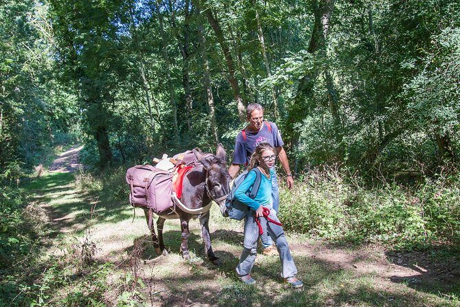 Walks and hikes with donkeys - Exploring Lyon’s Hidden Gems with Donkeys: A Unique Adventure