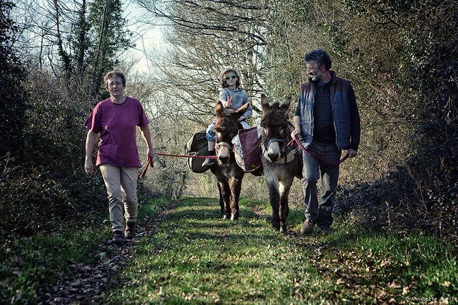 Walks and hikes with donkeys - Practical Details and What You Need to Know