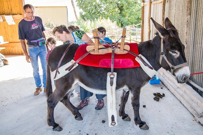 Walks and hikes with donkeys - Who Is This Tour Best For?