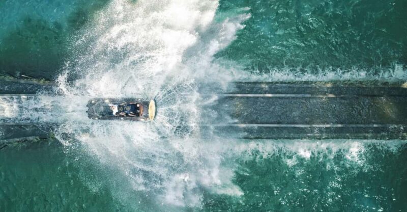 Walygator Grand Est Entry Ticket - Key Points