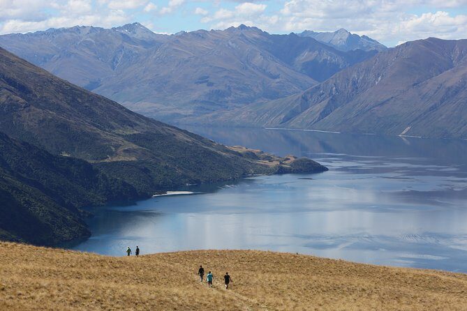 Wanaka High Country Walk - Key Points