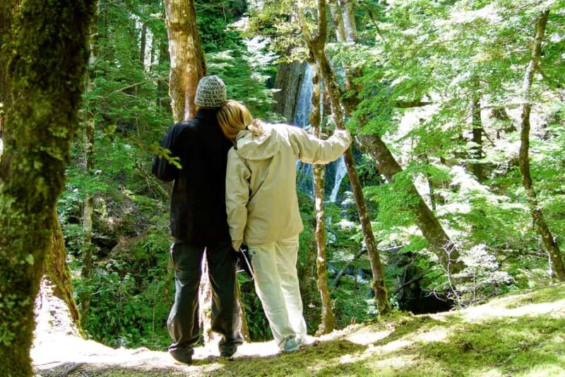 Wanaka: Jet Boat & Wilderness Walk - An In-Depth Look at the Wanaka Jet Boat & Wilderness Walk