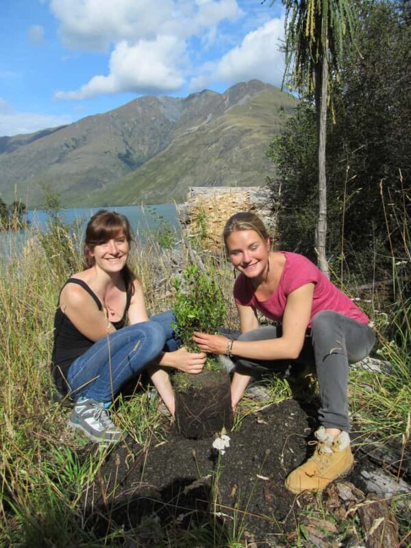 Wanaka: Mou Waho Island Boat Tour and Nature Walk - Genuine Traveler Insights