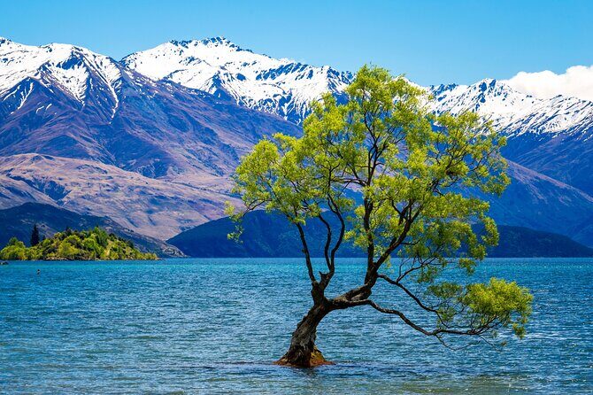 Wanaka Private Day Trip from Queenstown: TravelnGo - Key Points