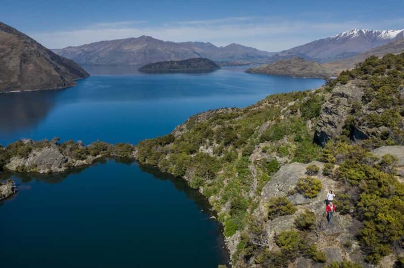 Wanaka: Water Taxi & Mou Waho Island Tour - The Sum Up