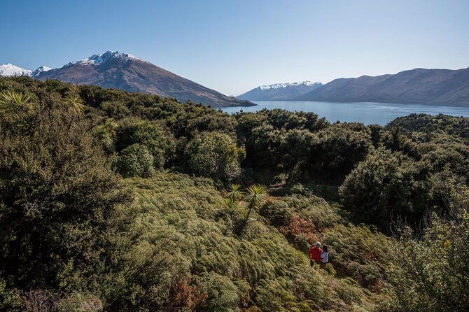 Wanaka Water Taxi Mou Waho Island Tour - The Sum Up