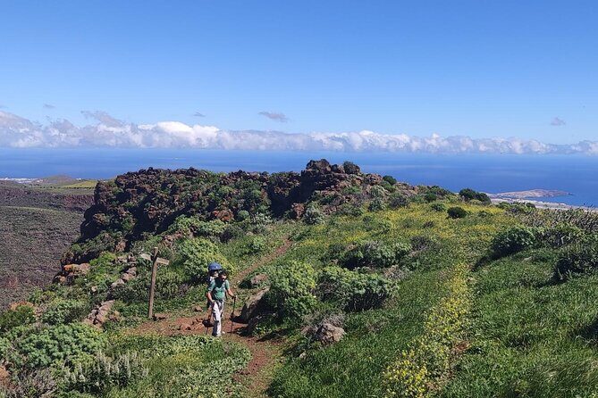 Wanderungen im grünen Gran Canaria - Exploring the Floral Rhythm of Gran Canaria