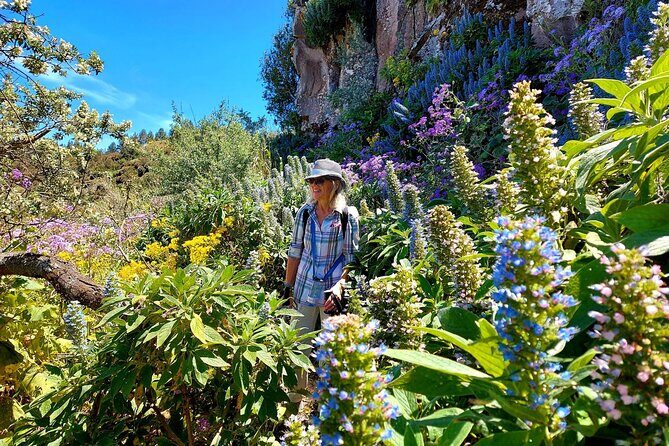 Wanderungen im grünen Gran Canaria - FAQs