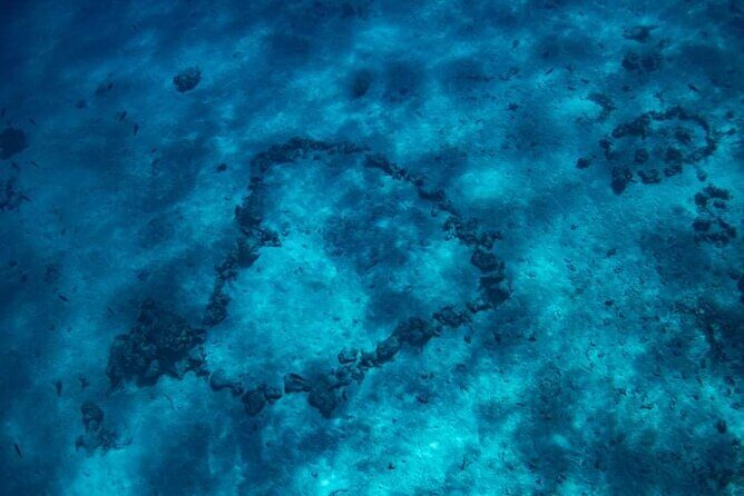 Want to escape? Treat yourself to a snorkeling session in Tahiti! - Weather Considerations and Booking Tips