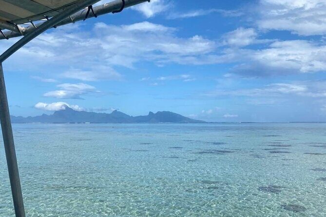 Want to escape? Treat yourself to a snorkeling session in Tahiti! - Final Thoughts: Is This Tour Right for You?