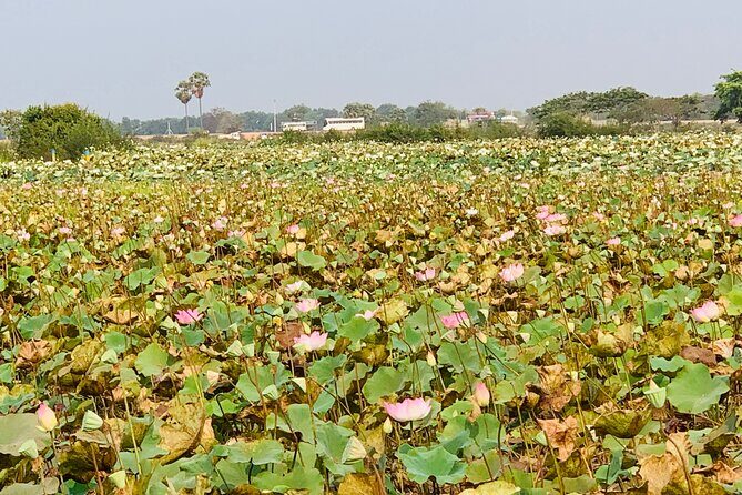 War Museum, Killing Field and Floating village ( Chong Kneas) Tour - FAQs
