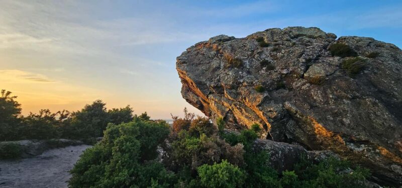 Wareham: Purbeck Countryside Sights E-Bike Tour - Key Points