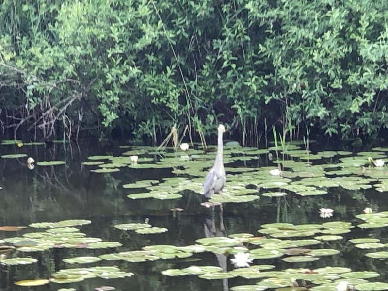 Waren (Müritz): Fun Cruise motor yacht with skipper - 4 hours - Exploring the Mecklenburg Lake District from the Water