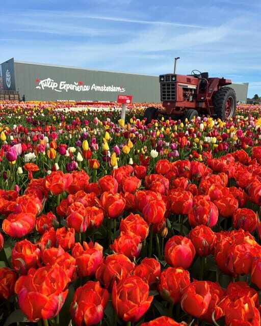 Warmond: Kagerplassen Cruise with "Tulip Experience" Ticket - Detailed Review