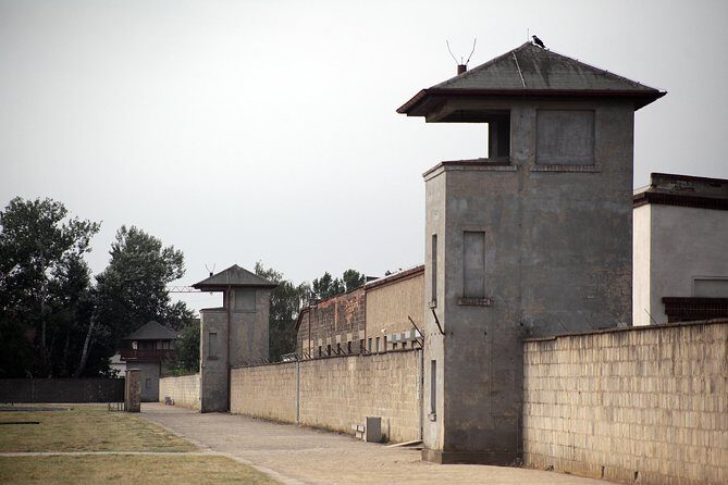 Warnemünde Shore Excursion: Private Sachsenhausen and Berlin Tour - Key Points