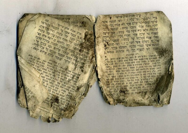 Warsaw: Jewish Heritage & Holocaust Walking Tour - Key Points