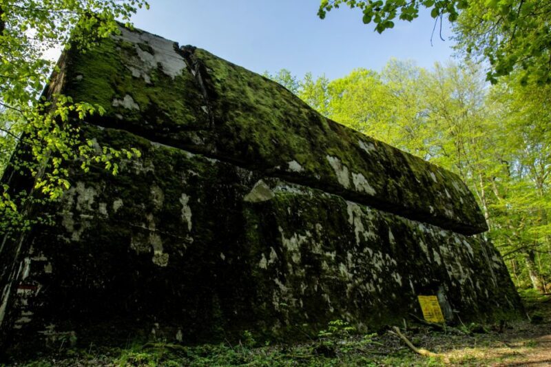 Warsaw: Private Full-Day Wolf's Lair Tour - Key Points