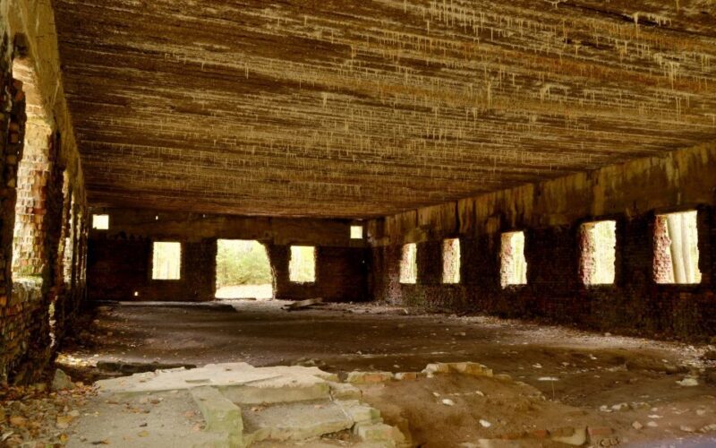 Warsaw: Private Full-Day Wolf's Lair Tour - Introduction: Discovering the Secrets of Wolfs Lair