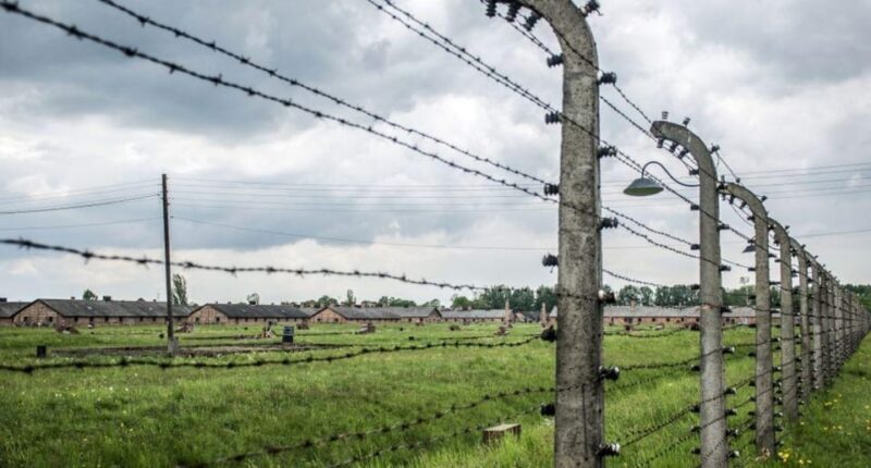Warsaw: Tour to Auschwitz-Birkenau & Krakow starting 6:30 am - Practical Details that Make a Difference
